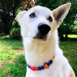 Krypto